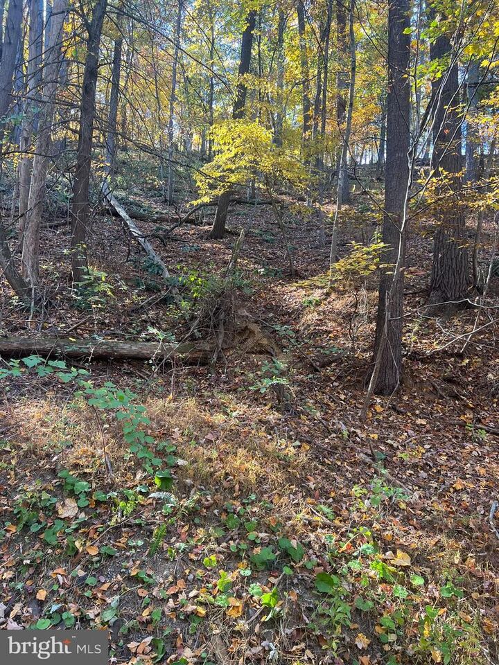 Property Photo:  0 Pin Oak Street  VA 22810 