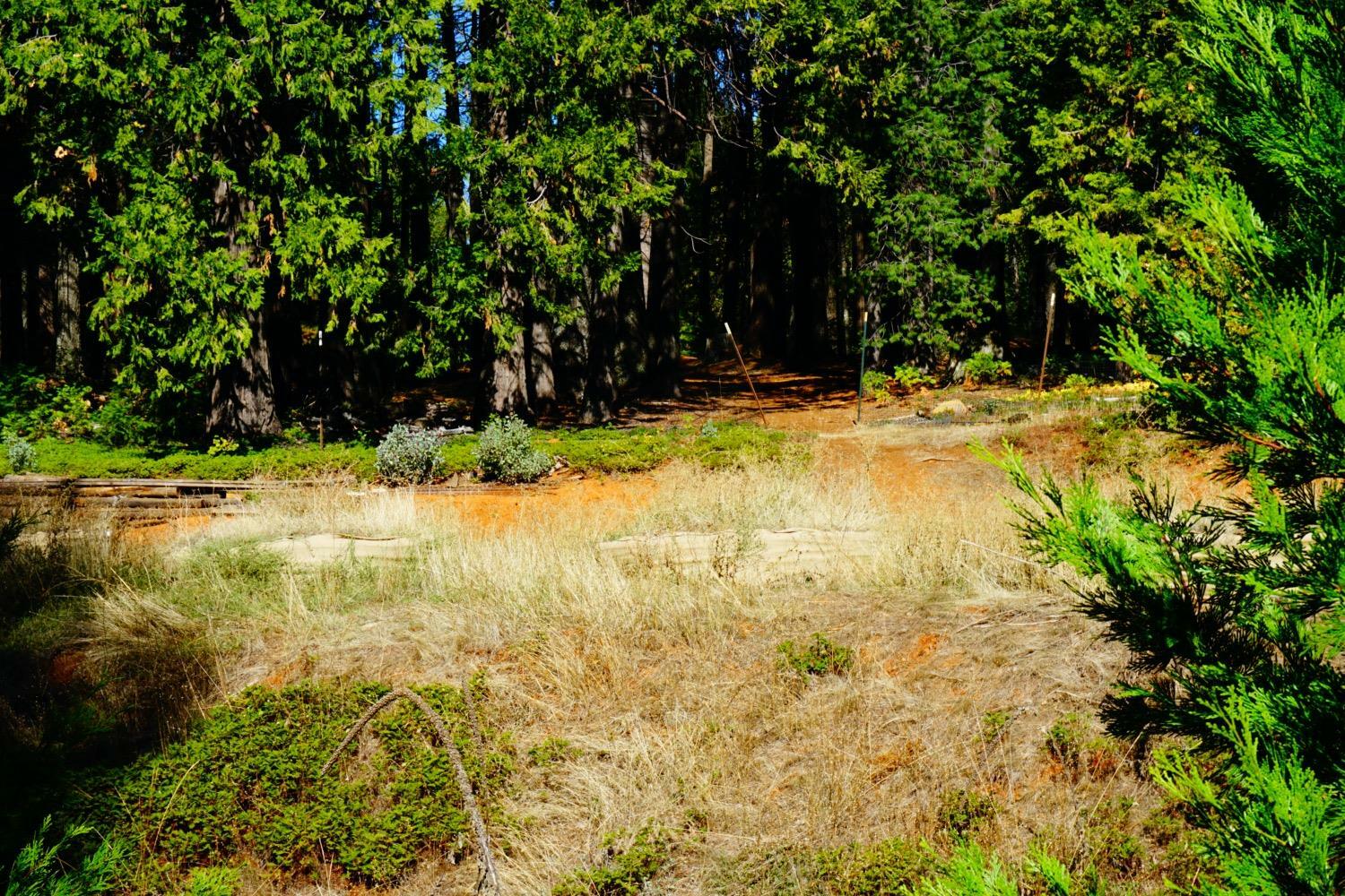 Property Photo:  13907 Lightning Tree Road  CA 95959 