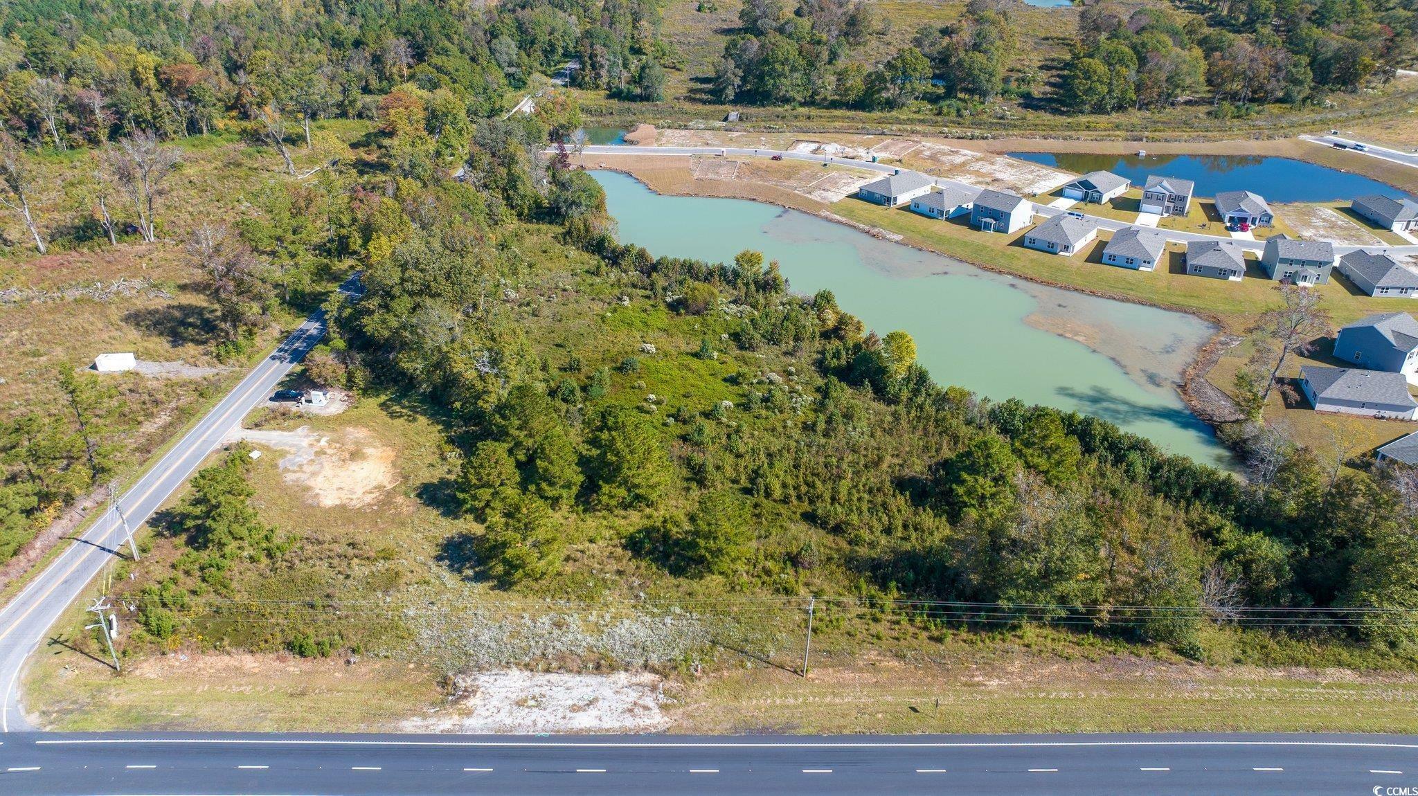 Property Photo:  Camp Swamp Rd.  SC 29568 