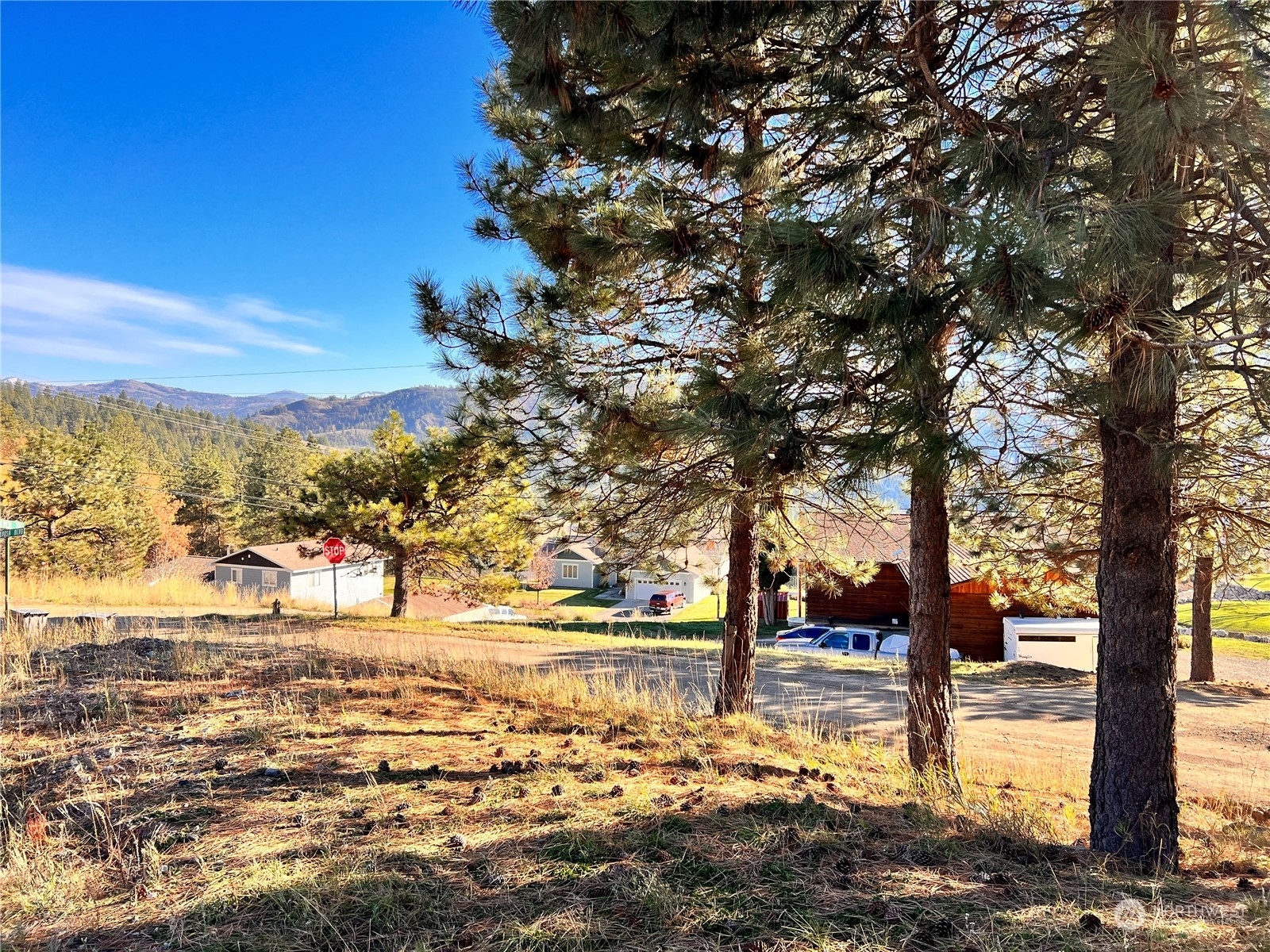 Property Photo: 230 Silver Street WA 99166