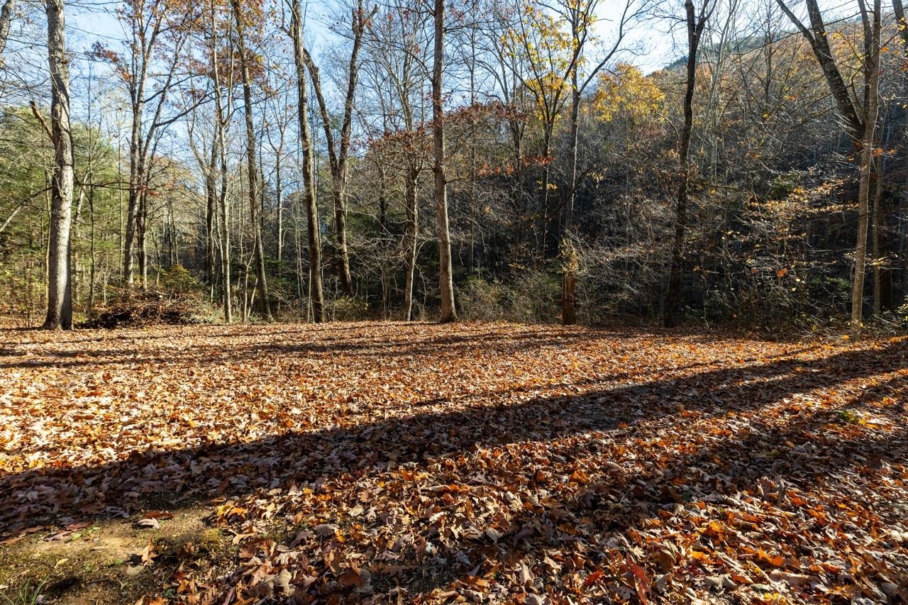 Property Photo: 118 Little Calf Pasture Hwy VA 24479