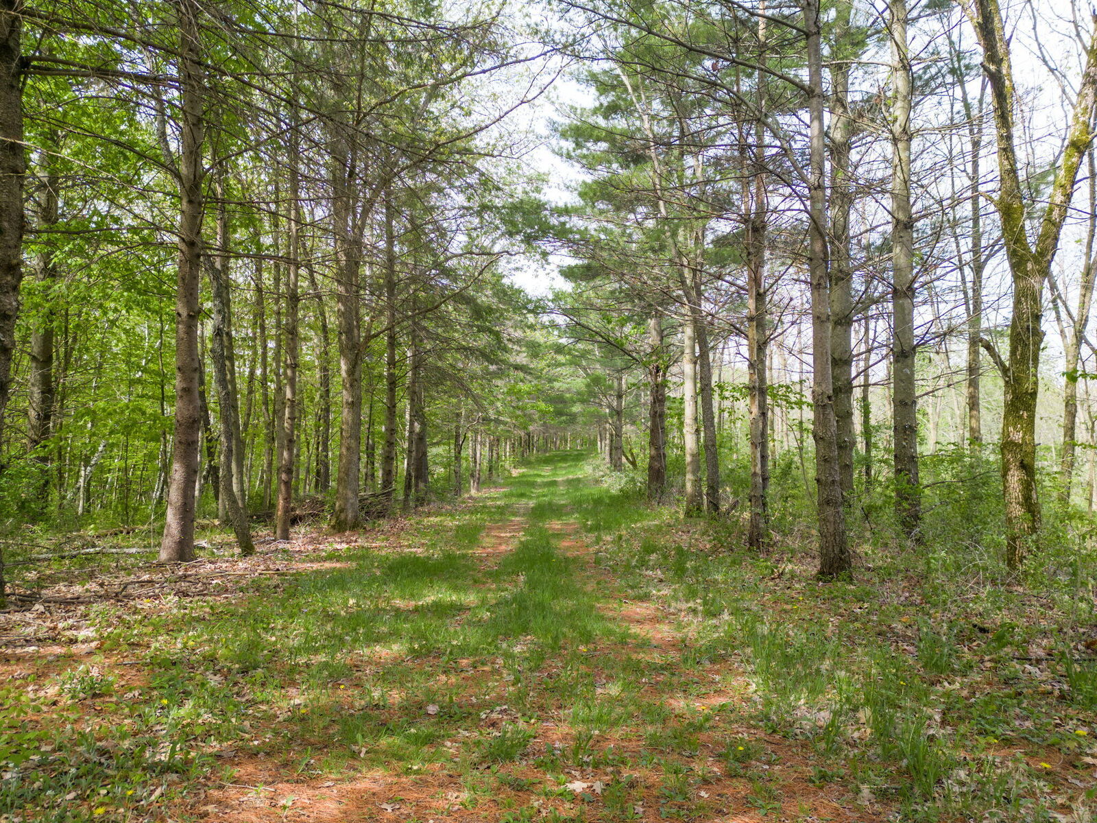 Property Photo:  00 County Hwy N -  WI 53581 