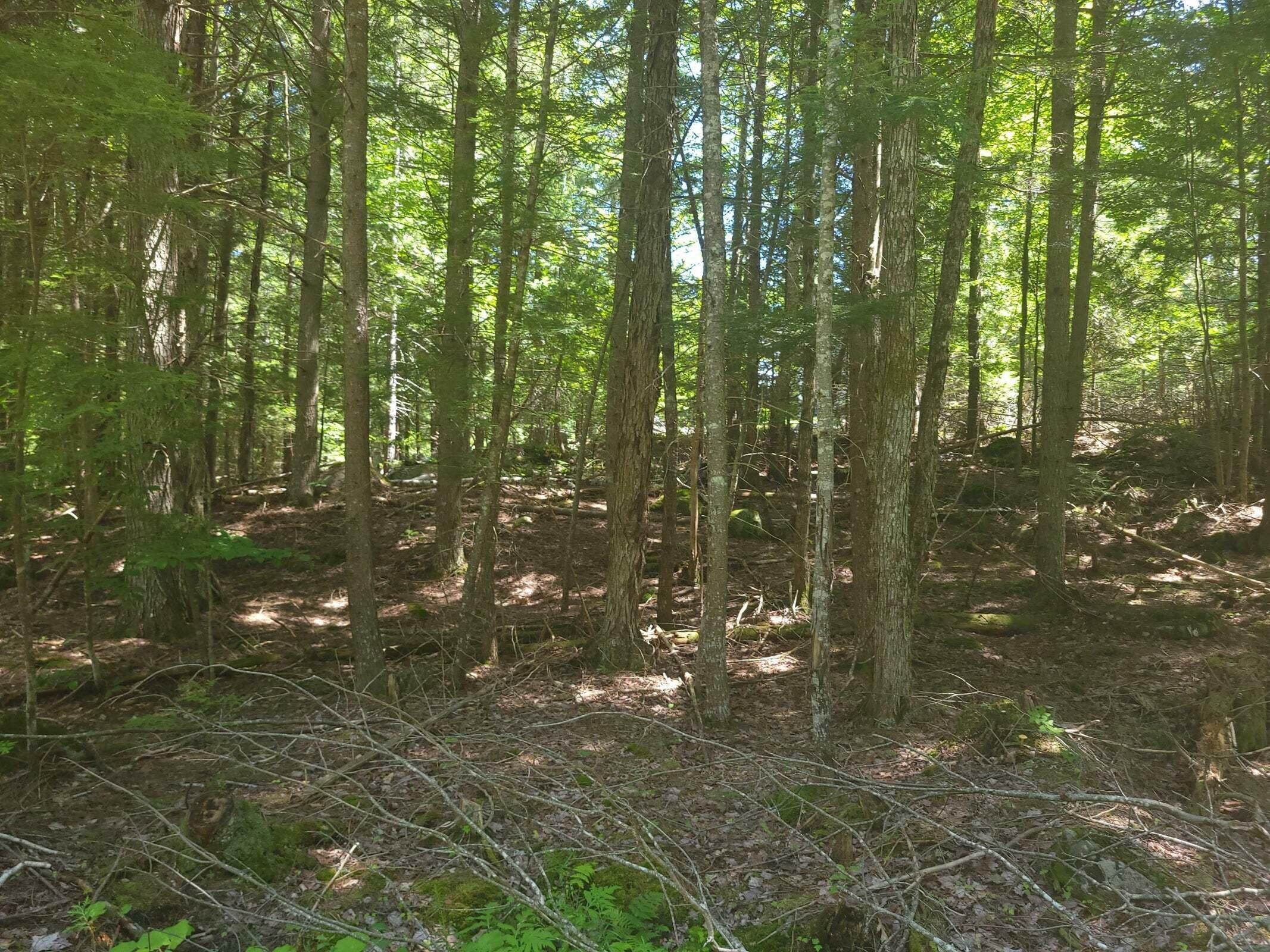 Property Photo: 000 Swetts Pond Road Extension ME 04474