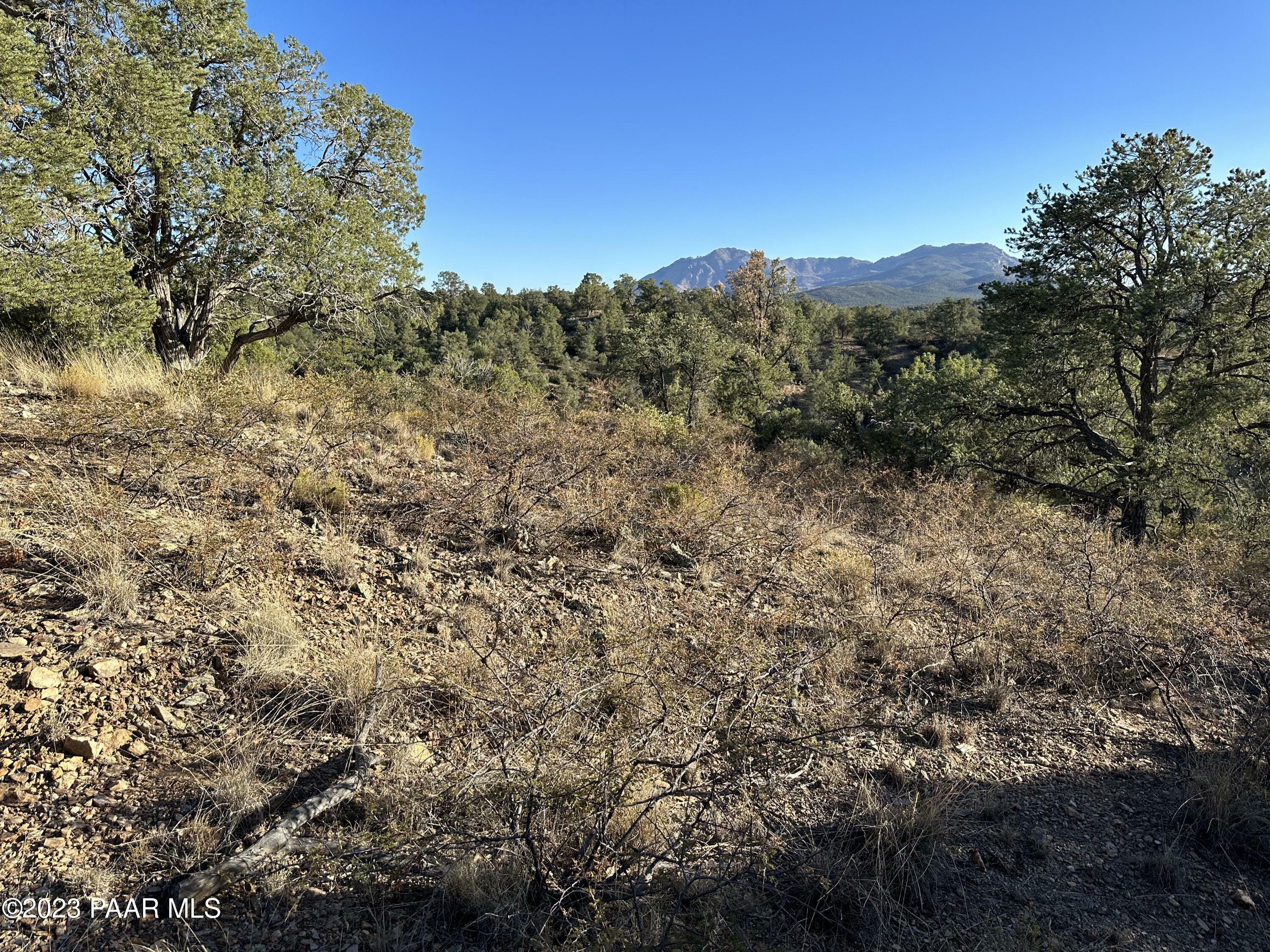 Property Photo:  12880 Spiral Dancer Trail  AZ 86305 