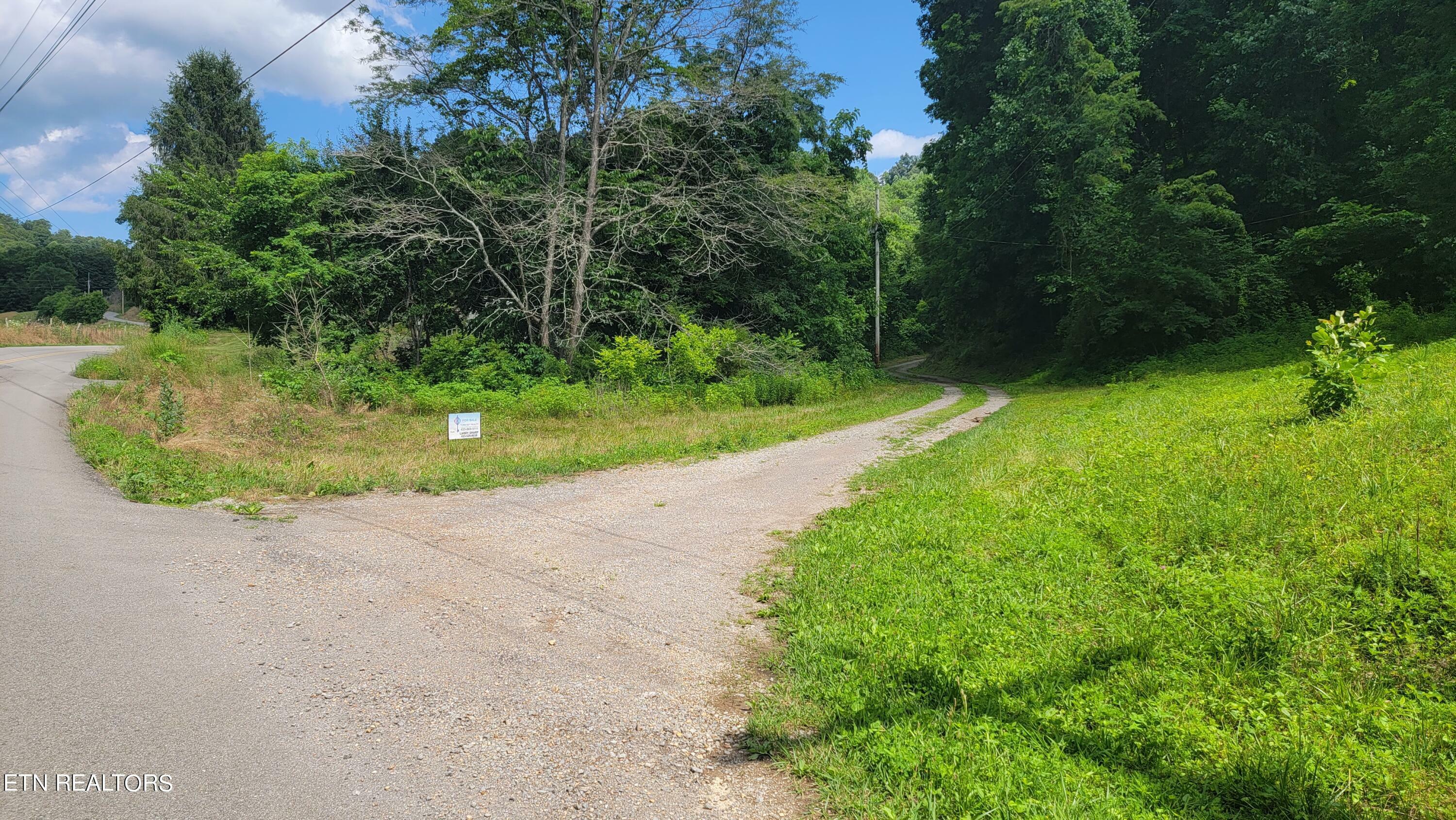 Property Photo:  Tract 1 Lone Mountain Rd  TN 37825 