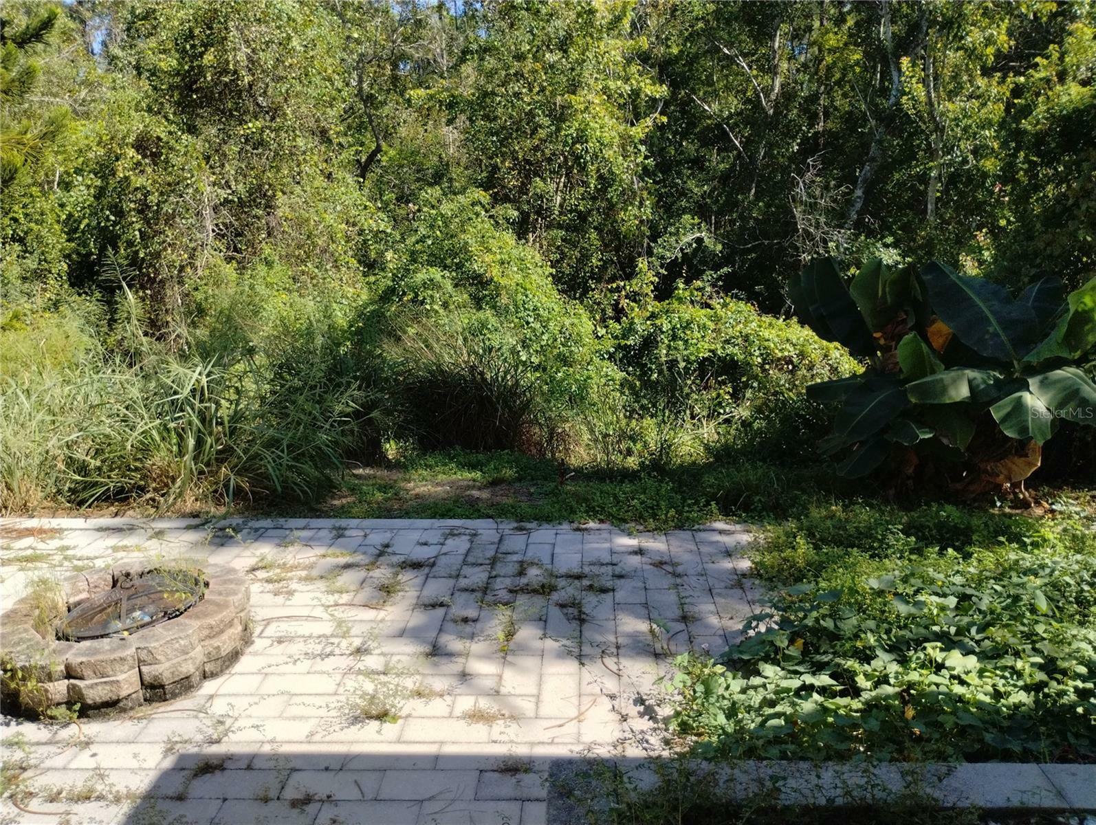 Property Photo: 139 Oak View Place FL 32773