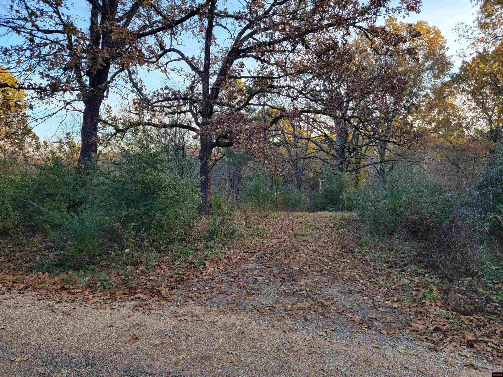 Property Photo:  339 Cr 458  AR 72653 