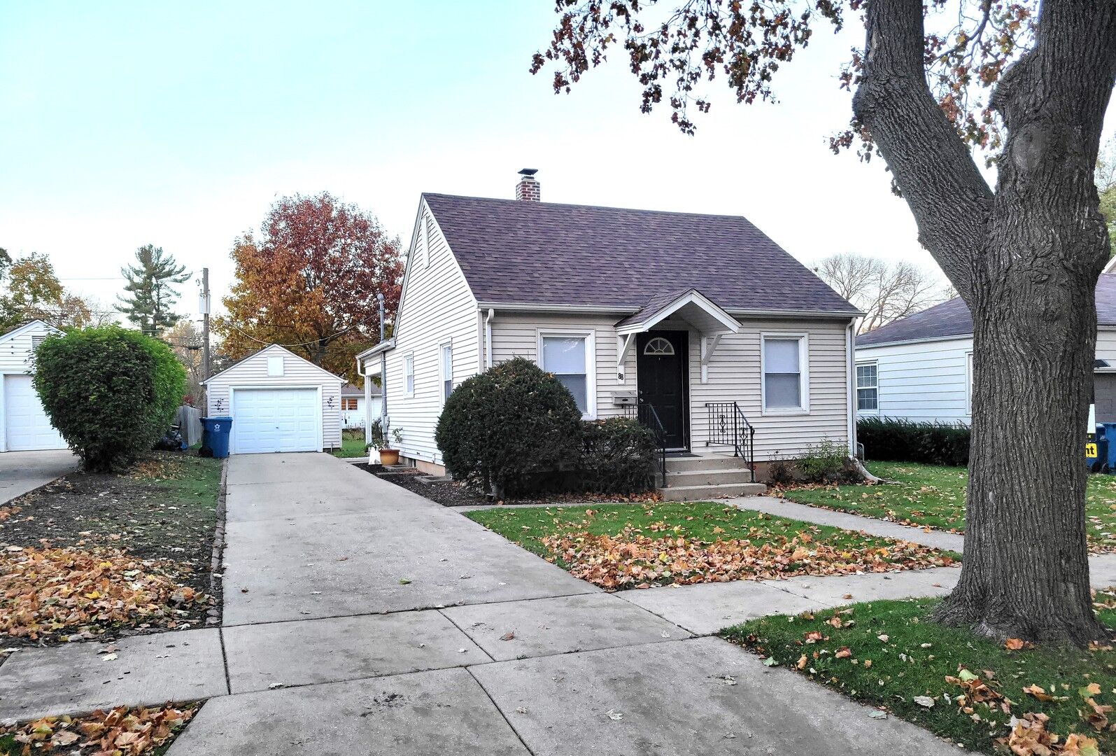 Property Photo: 88 Riverside Avenue IL 60118