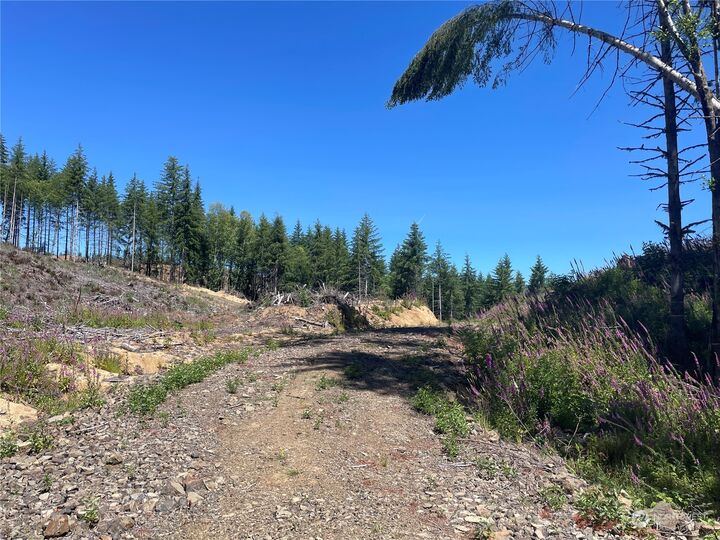 Property Photo: 0 Middle Valley Road WA 98647