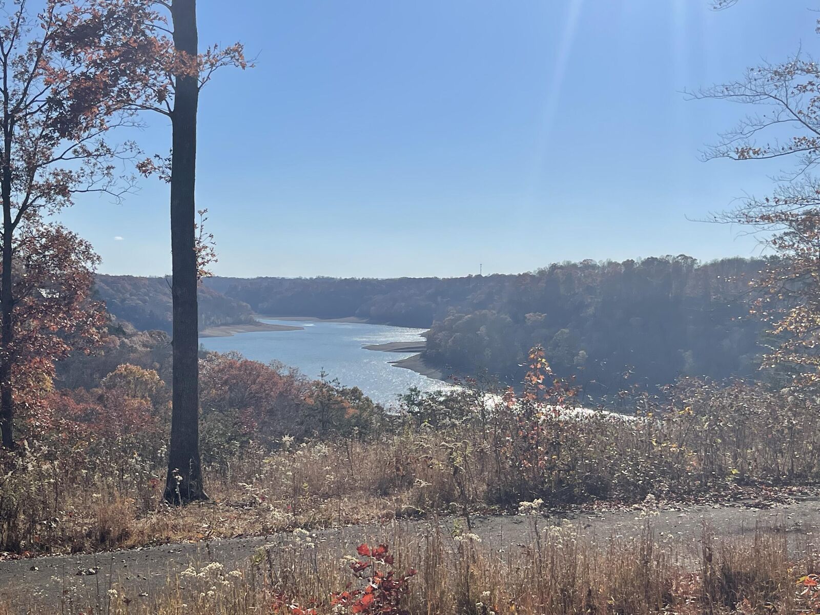 Property Photo: Lot 88 Stillwater KY 42642