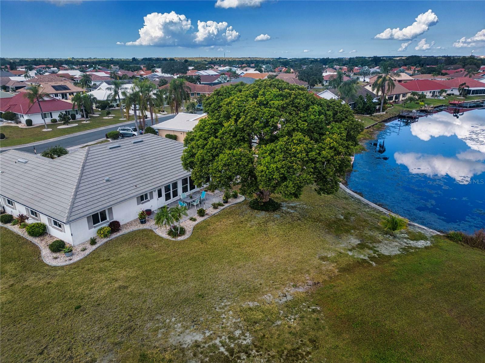 Property Photo:  1822 Wolf Laurel Drive  FL 33573 