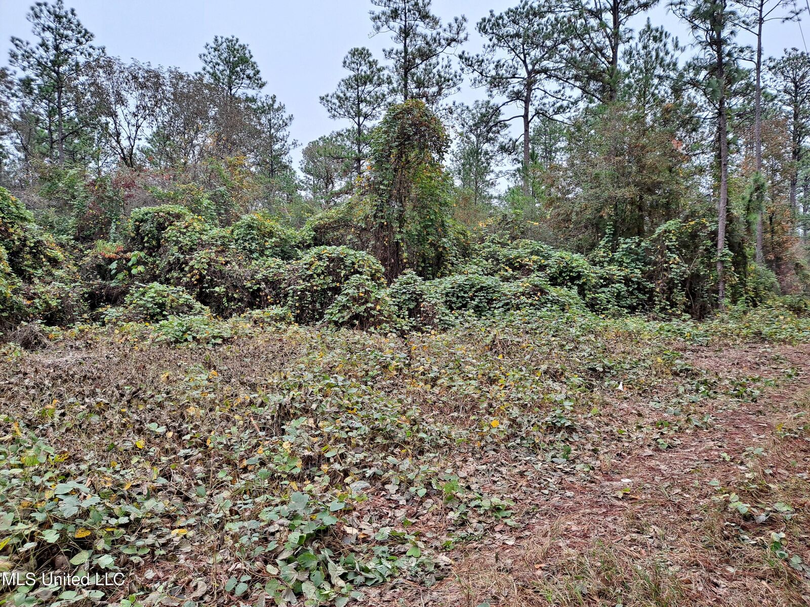 Property Photo:  1 Acre Hwy 612  MS 39452 