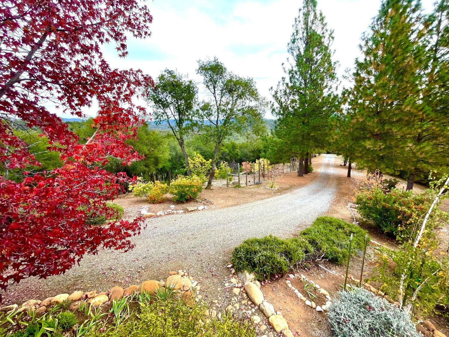 Property Photo:  9870 Sheep Ranch Road  CA 95246 