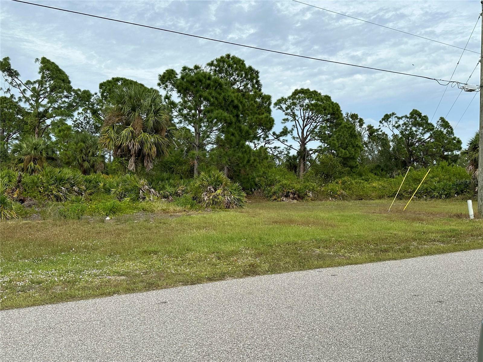 Property Photo:  214 Baytree Drive  FL 33947 