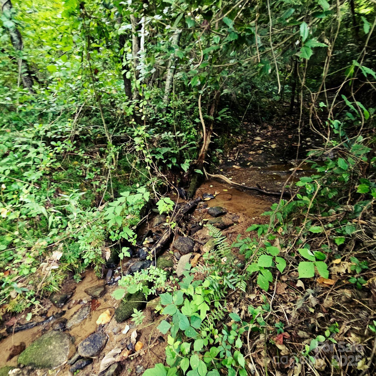 Property Photo: 823 Silver Creek Road NC 28756