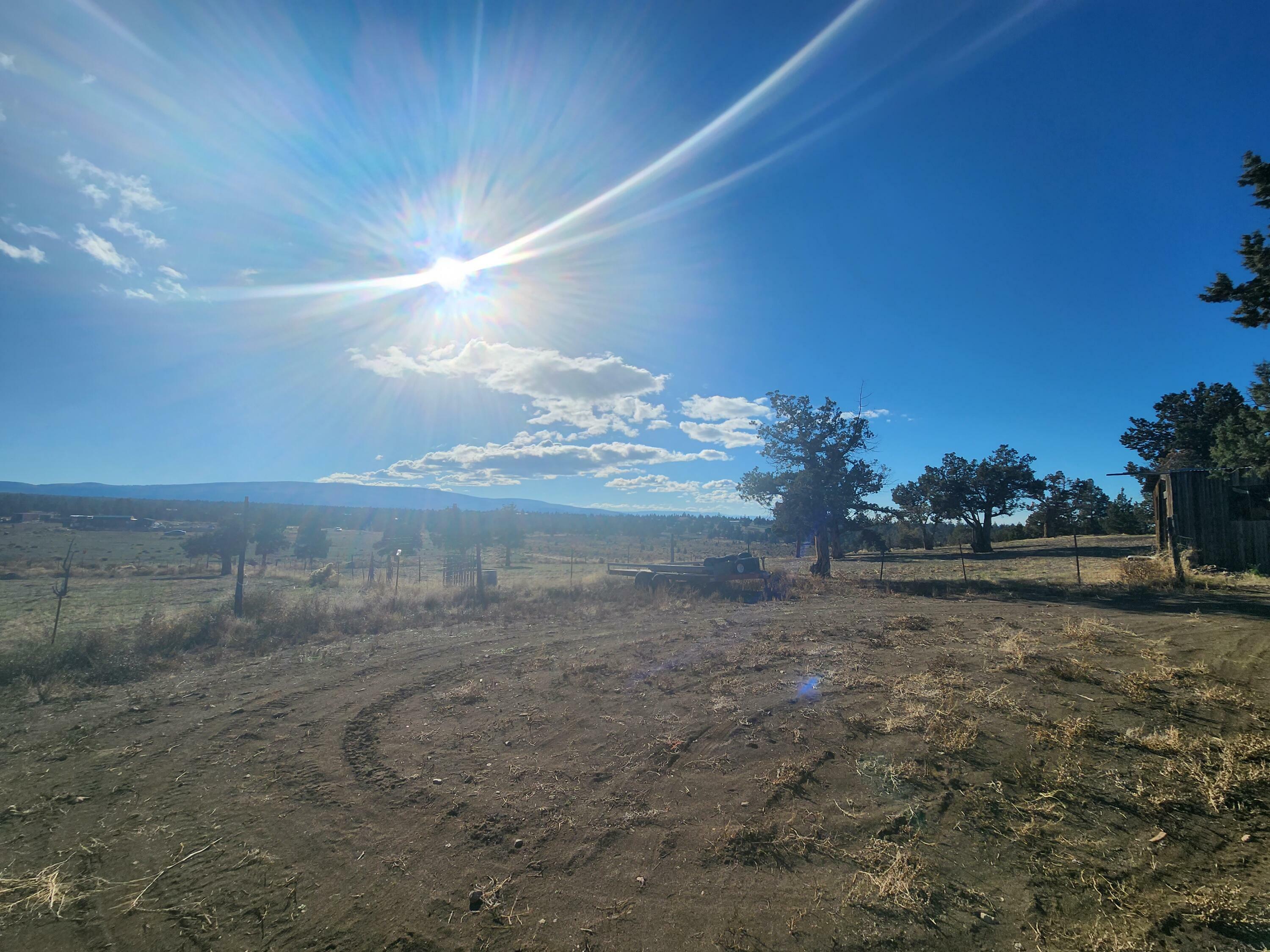 1910 Eucalyptus Lane  Prineville OR 97754 photo