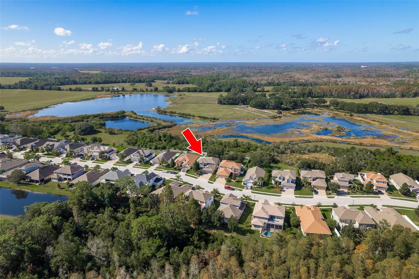 Property Photo:  8523 Eagle Brook Drive  FL 34638 