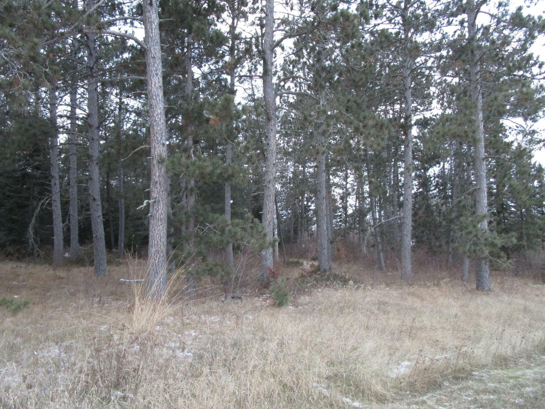 Property Photo:  Tbd Willshar Way NW  MN 56601 