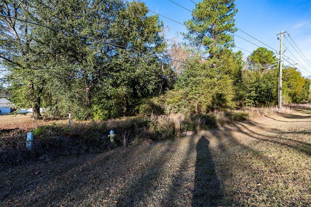 Property Photo:  000 Lily Pond Road  GA 31701 