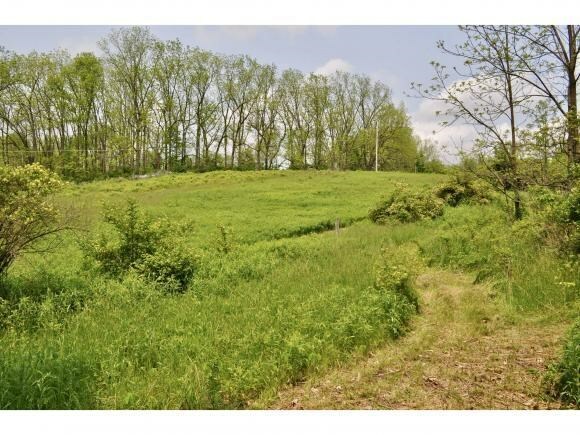 Property Photo: 0 Mayo Road NY 14886