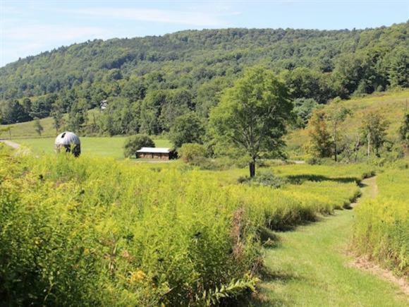 Property Photo:  0 Fisher Settlement  NY 14883 