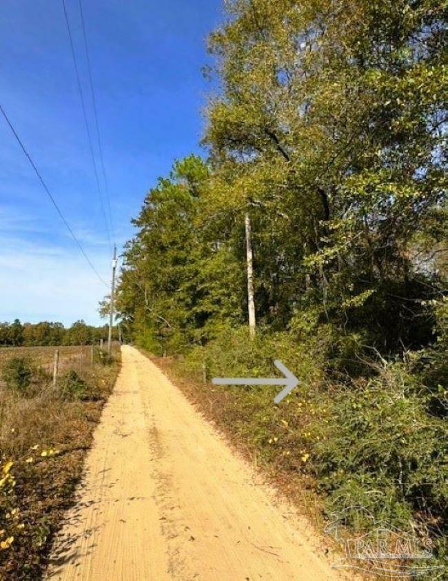 Property Photo:  Deloach Ln  FL 32570 