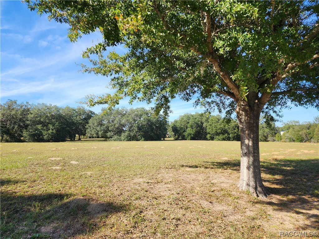 Property Photo:  2686 N Clements Avenue  FL 34453 