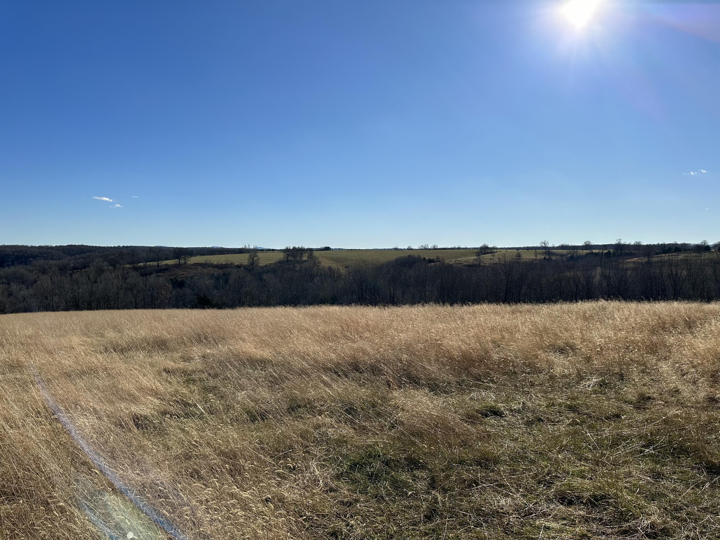 Property Photo:  Mill Hollow Road  AR 72601 