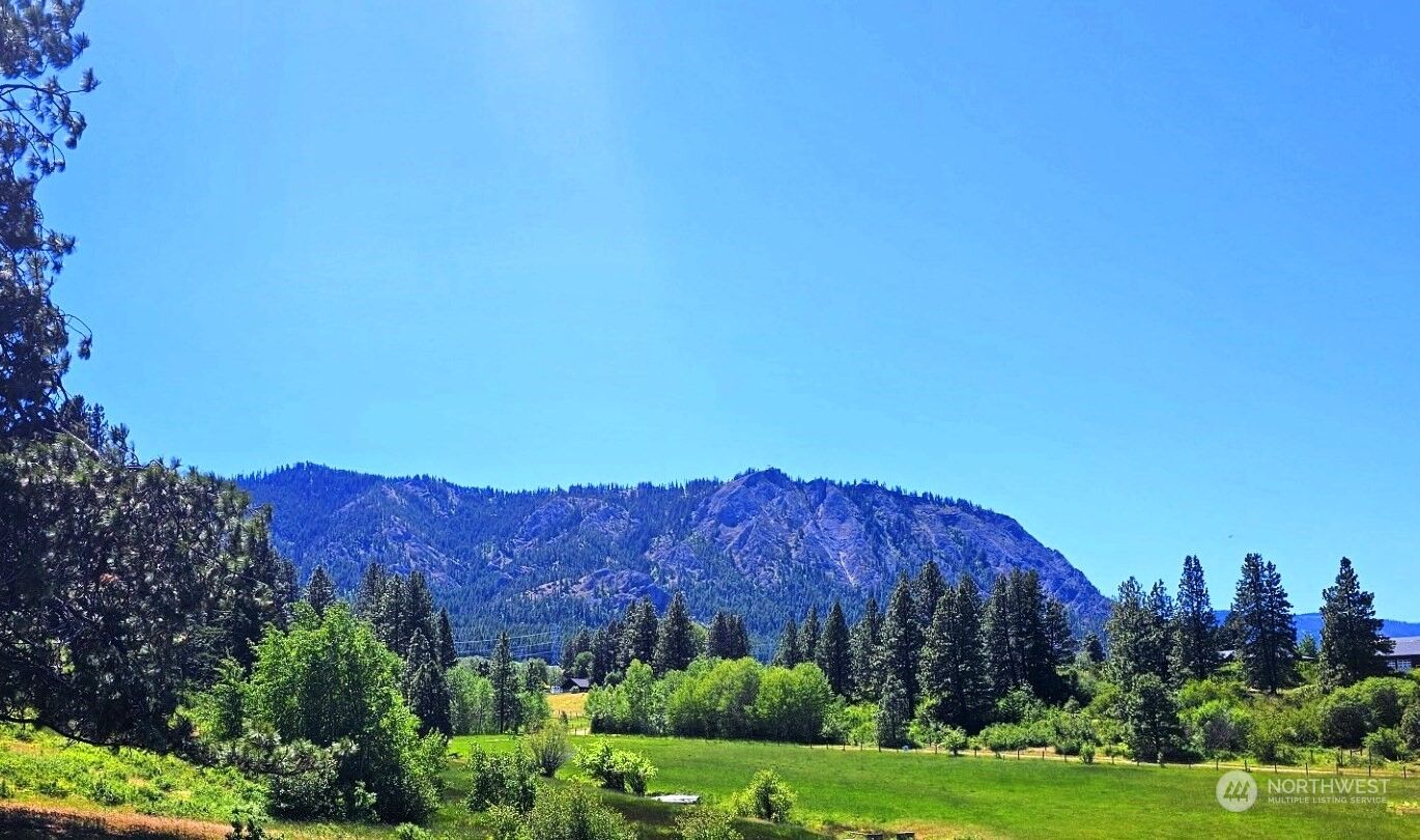 Property Photo:  4 Iron Mountain Road  WA 98922 