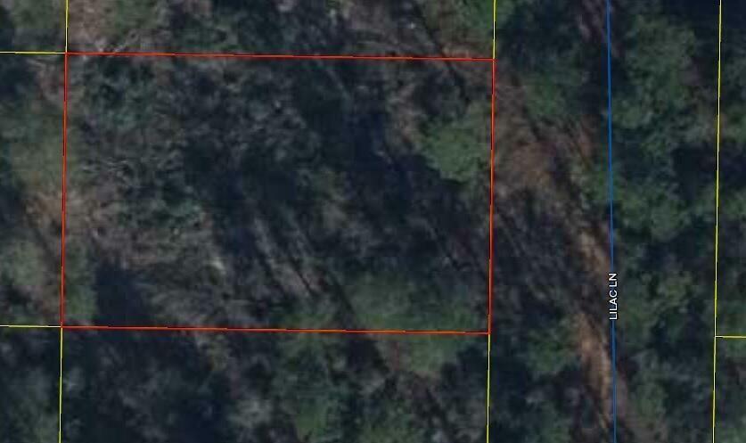 Property Photo: 000 Lilac Lane FL 32433