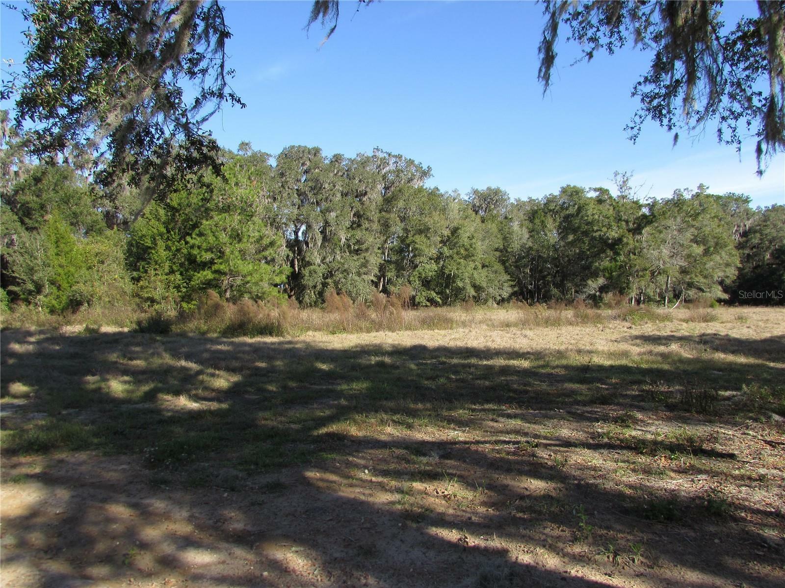 Property Photo:  17416 SW 11th Court  FL 32669 