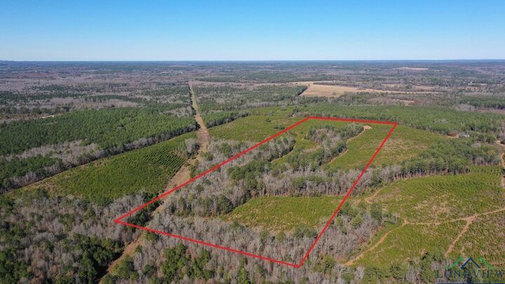 0002 Cr 1115 Tract 2  Atlanta TX 75551 photo