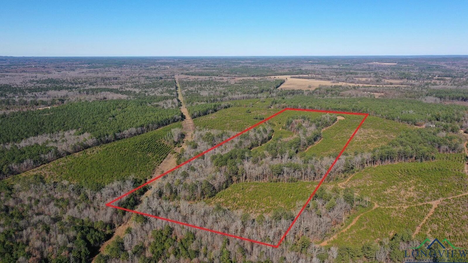 Property Photo:  0002 Cr 1115 Tract 2  TX 75551 