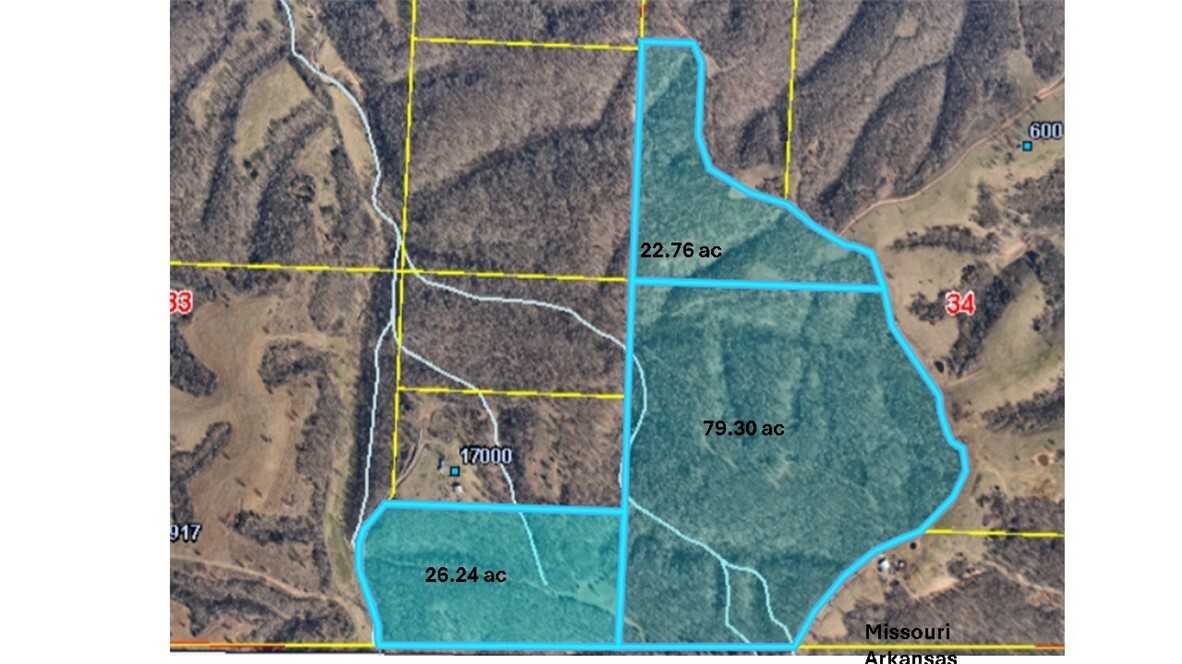 Property Photo:  128 Acres Styles Road  MO 64854 