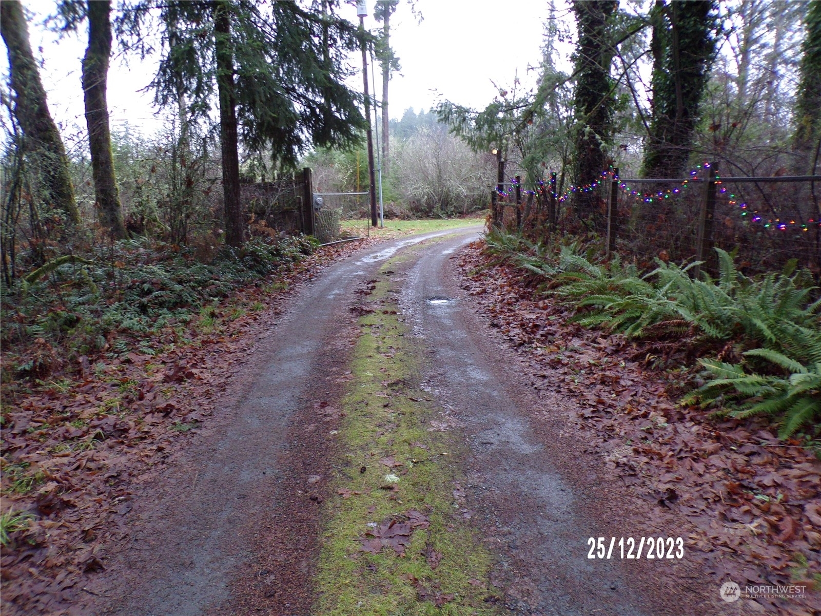 Property Photo:  4304 Satsop Court SE  WA 98501 