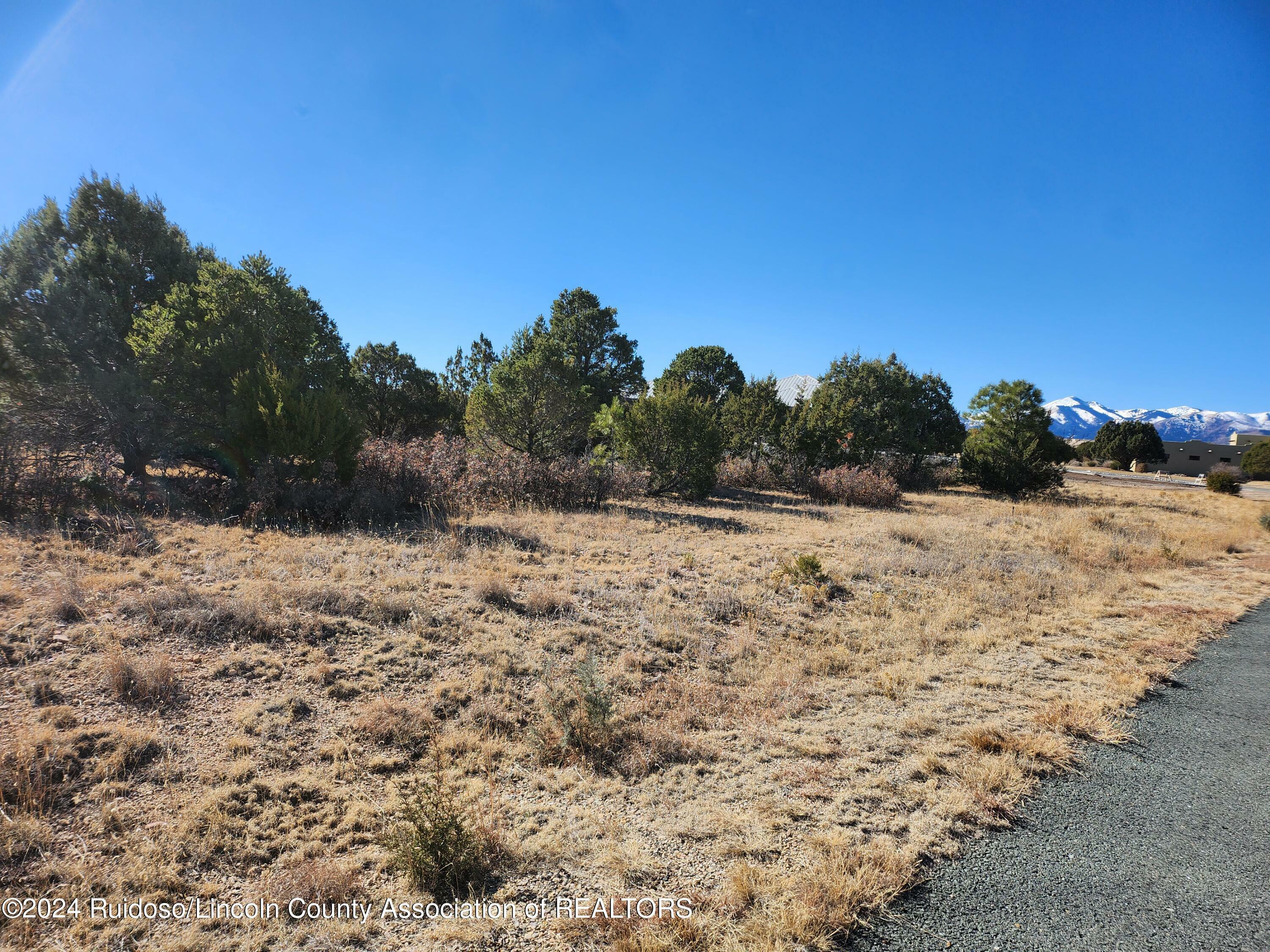 Property Photo:  Lot 22B-1 Lincoln Hills Drive  NM 88312 