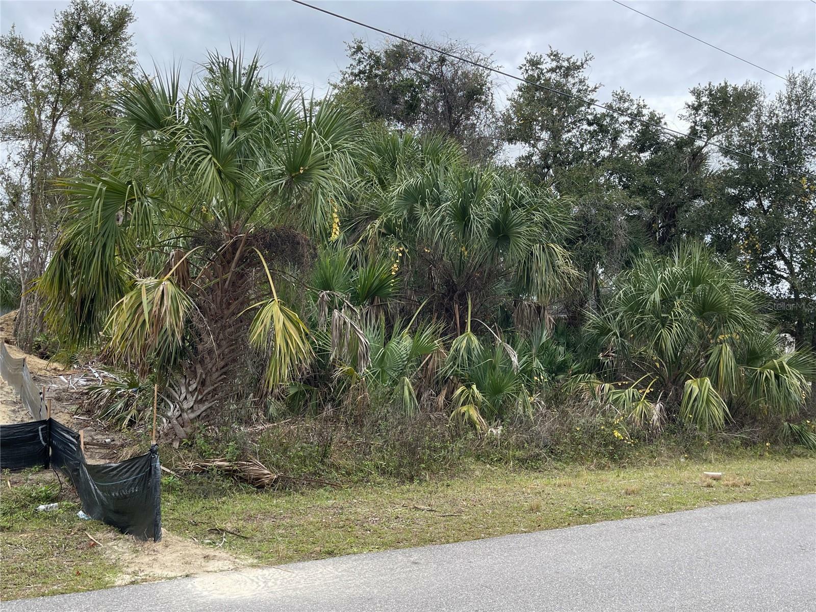 Property Photo:  Homestead Circle  FL 34286 