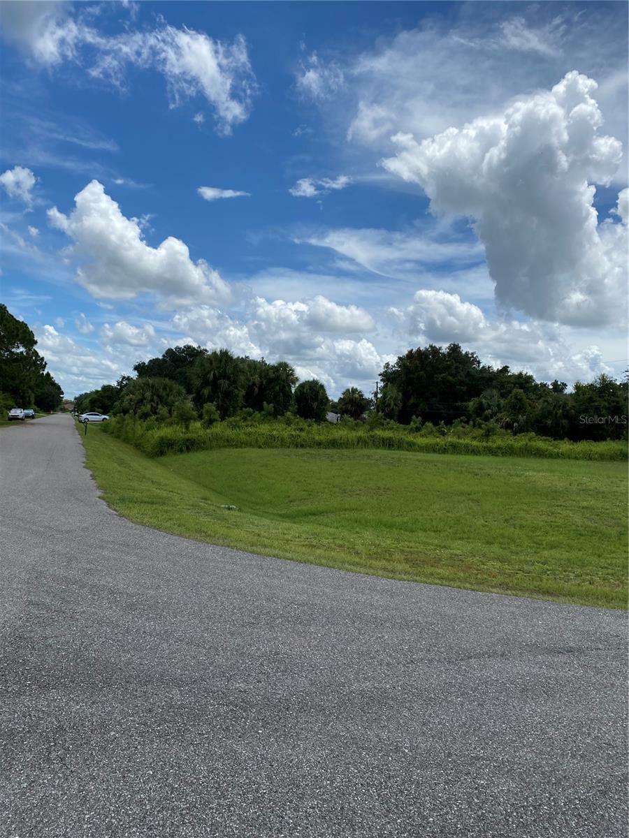 Property Photo:  Florala St. &Amp Attalla Ave.  FL 34287 