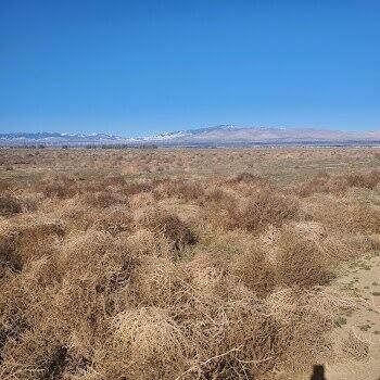 Property Photo:  W 95th And Avenue A  CA 93560 