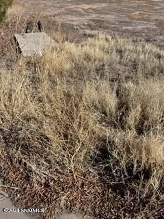 Property Photo:  900 Lake Tahoe Court  NM 88007 