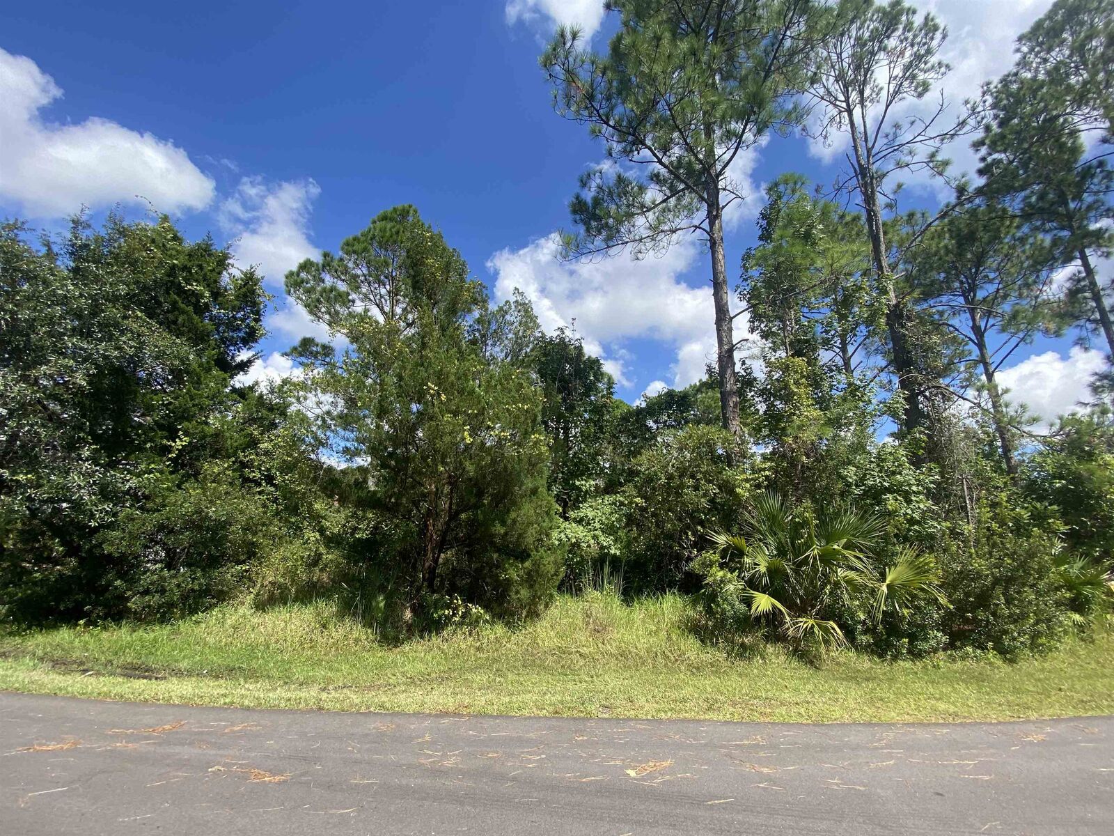 Property Photo:  10 Sleigh Bell Pl  FL 32164 