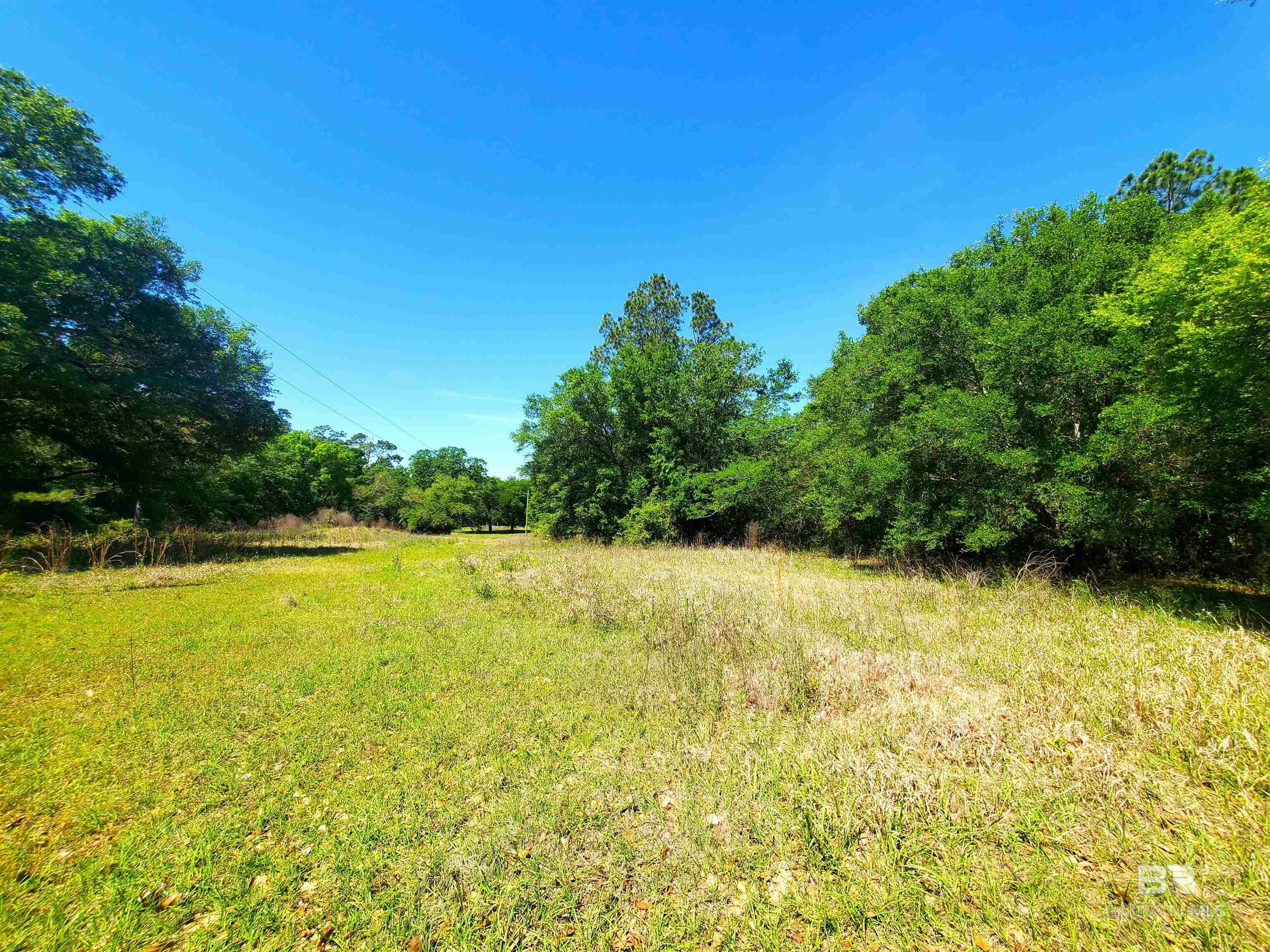 Property Photo:  10303 Route Road  AL 36549 