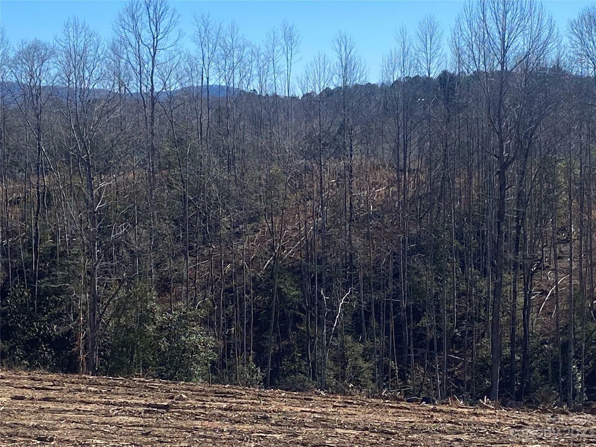 Property Photo:  0 Pinnacle Church Road Lot 9  NC 28655 