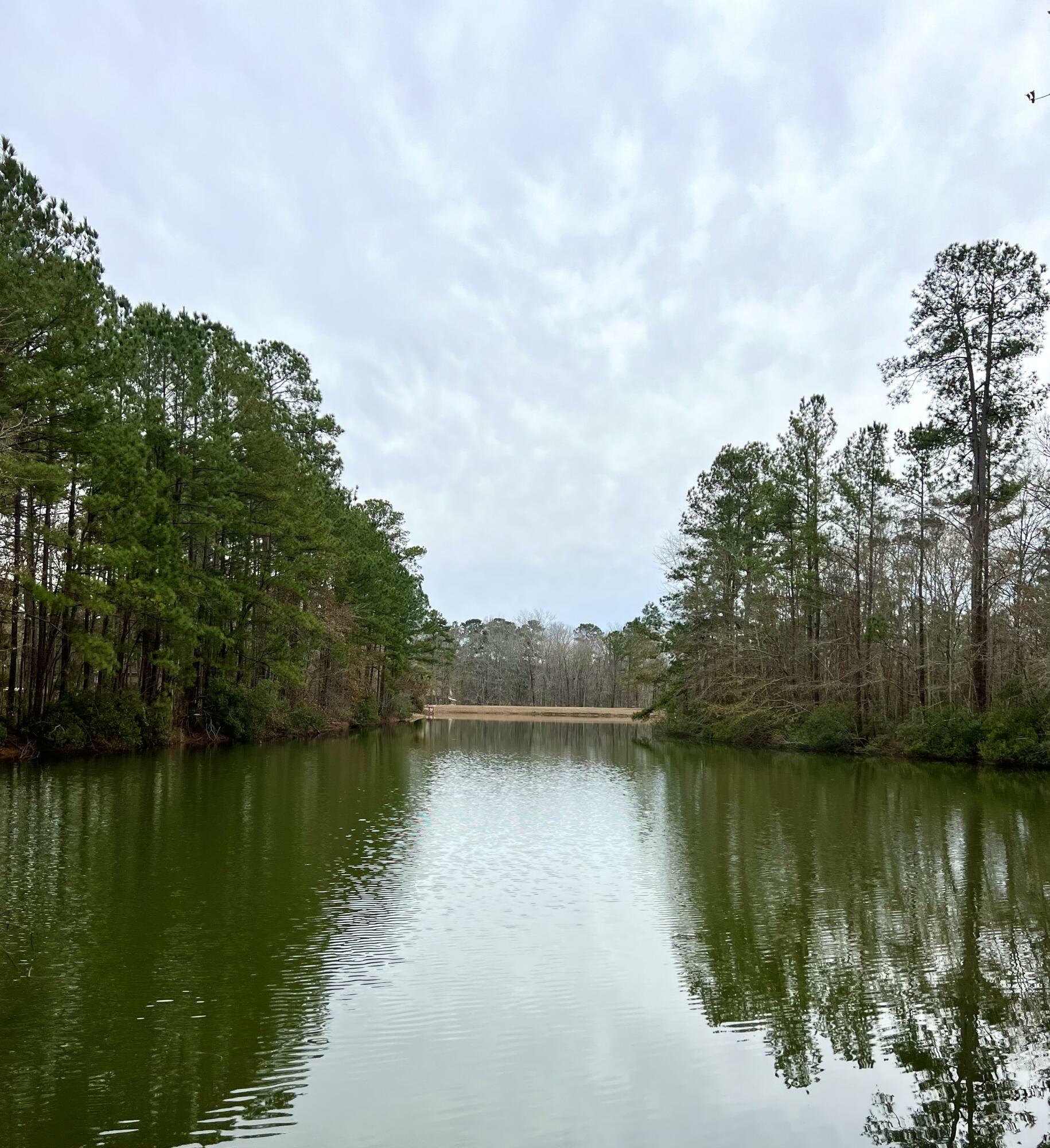 Property Photo: 00 Poplar Creek Drive SC 29047