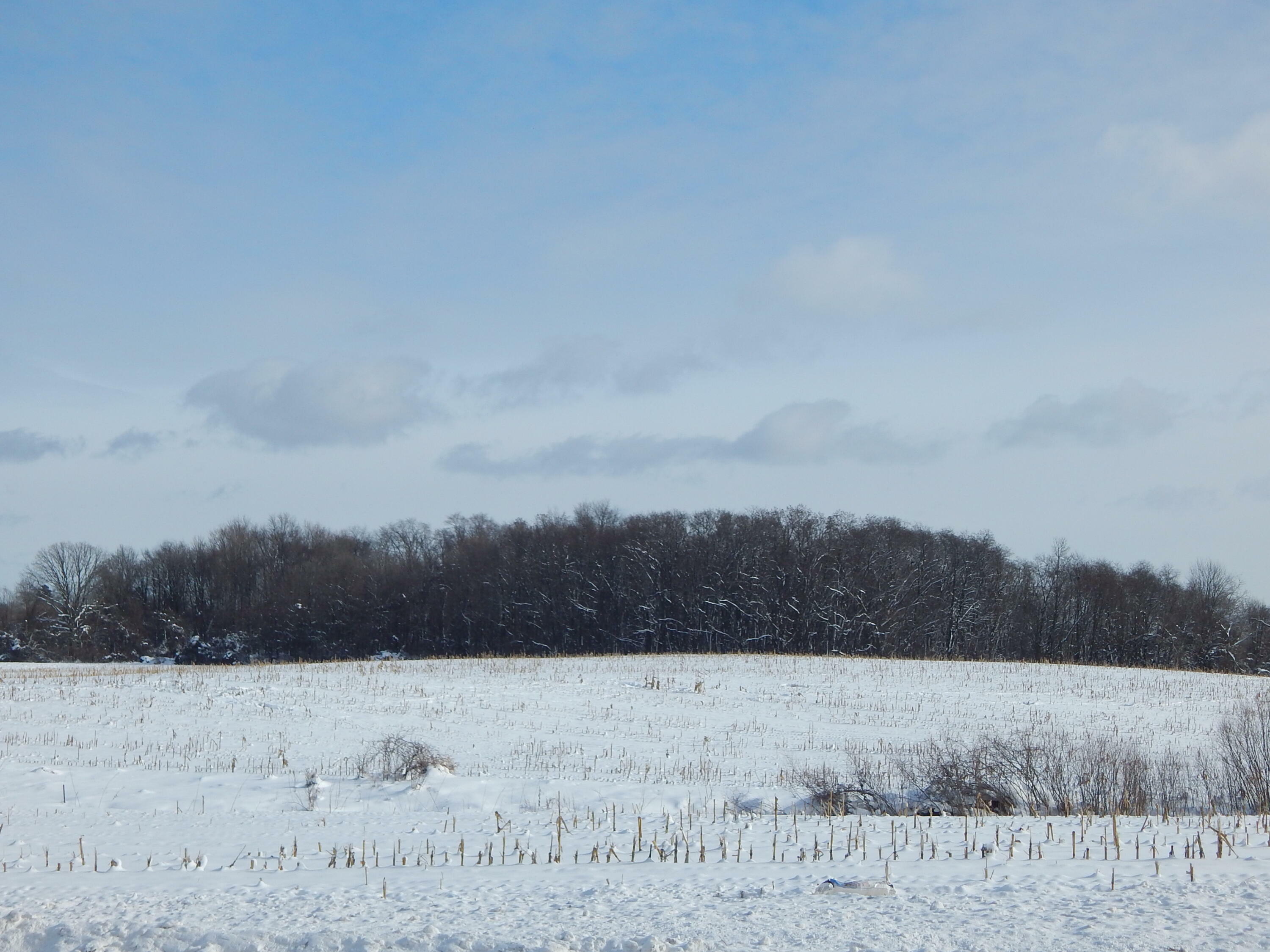 Property Photo: 12480 Fruit Ridge Avenue NW MI 49330