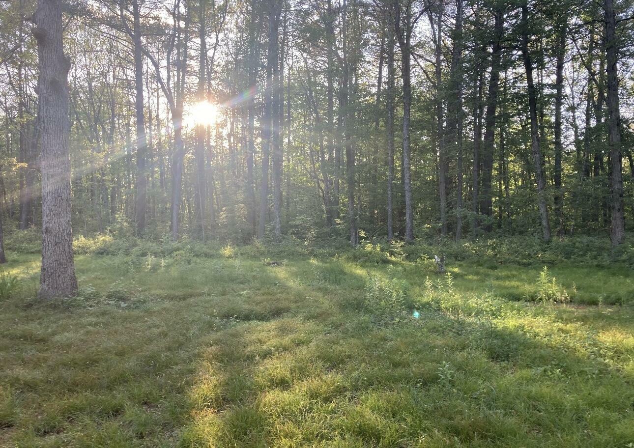 Property Photo: 0 Lapham Mills Road NY 12972