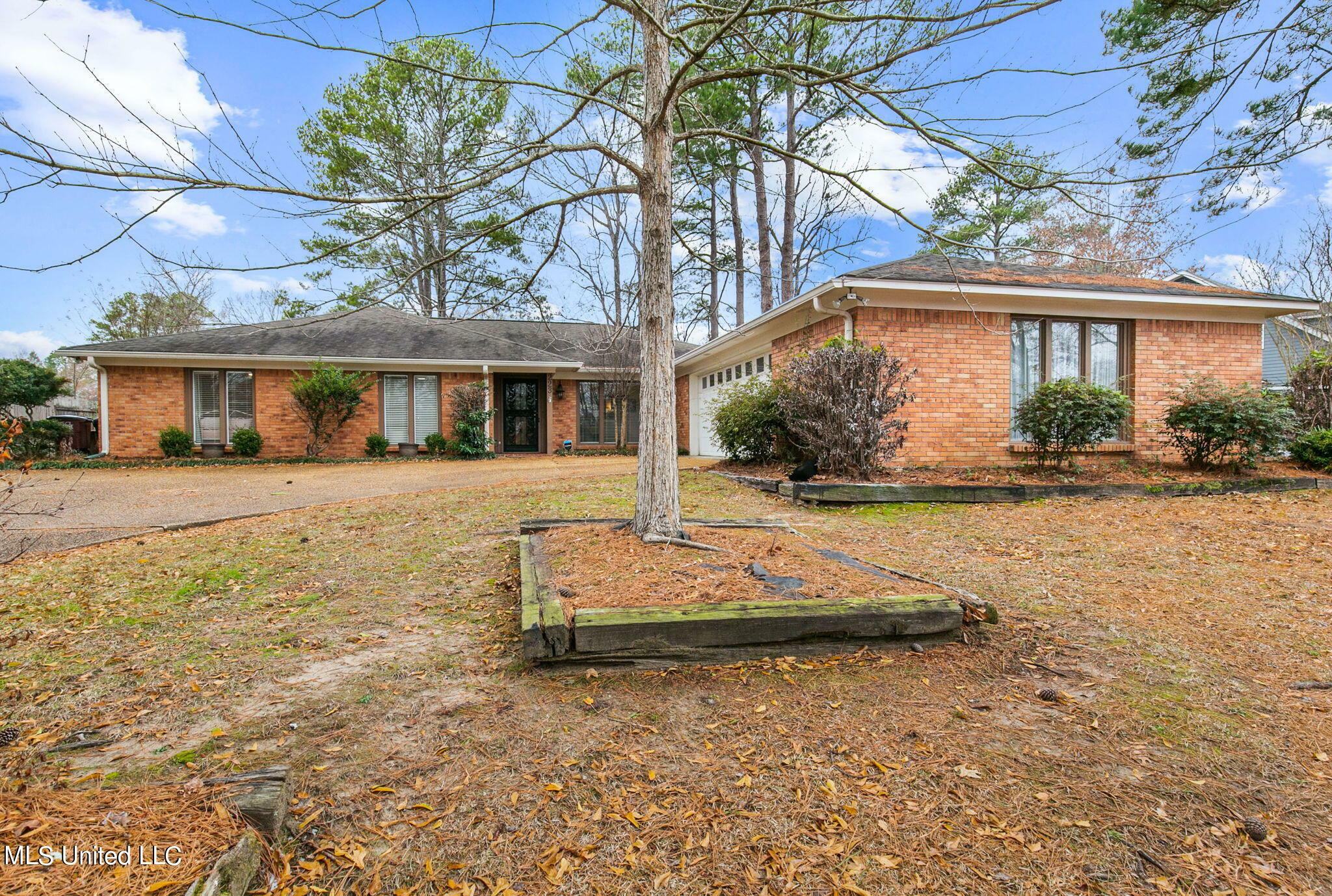 Property Photo:  223 Greenfield Place  MS 39047 