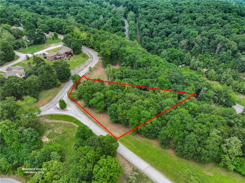 Property Photo:  Mountain Lake Court  AR 72756 