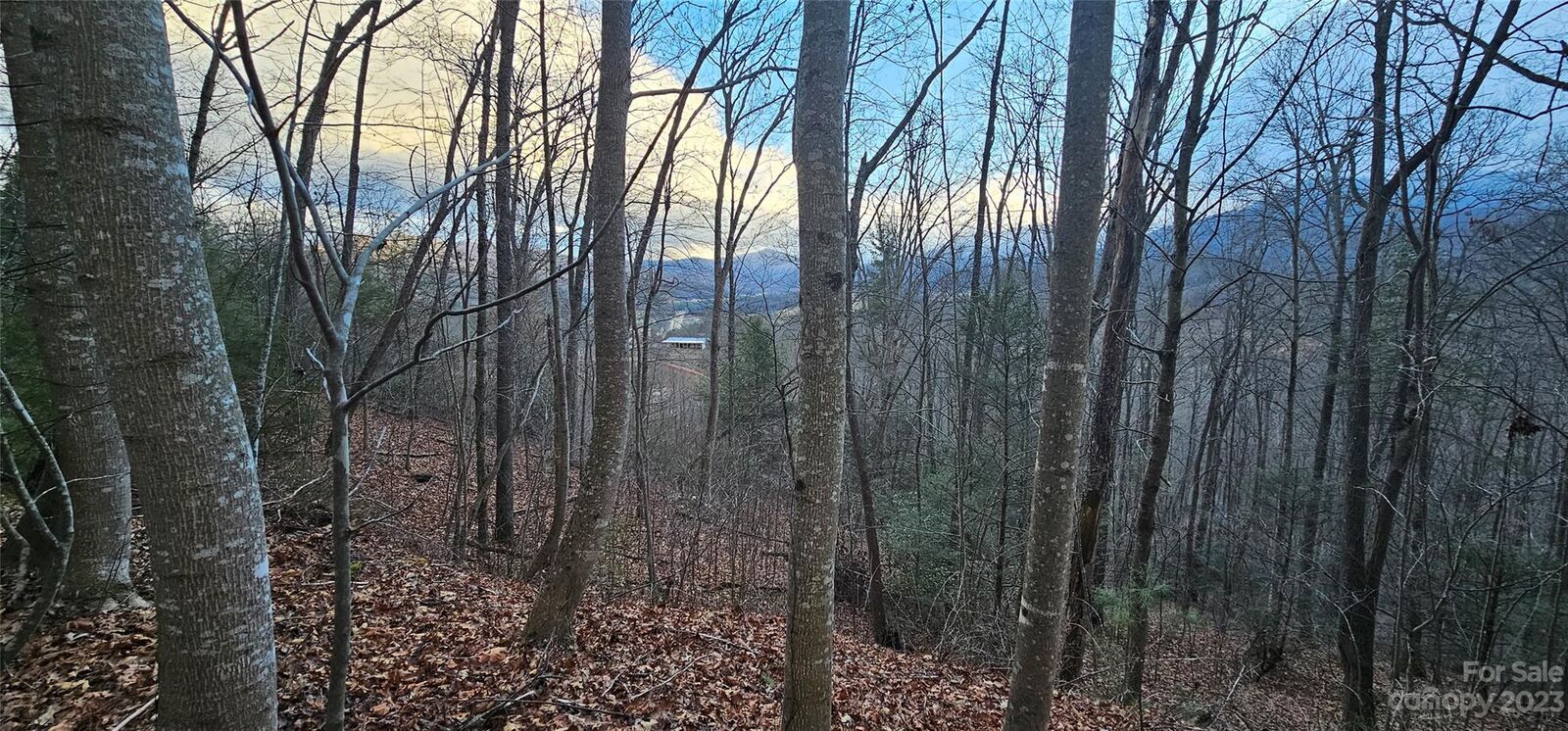 Property Photo:  Lot 10 Seay Mountain Road  NC 28785 