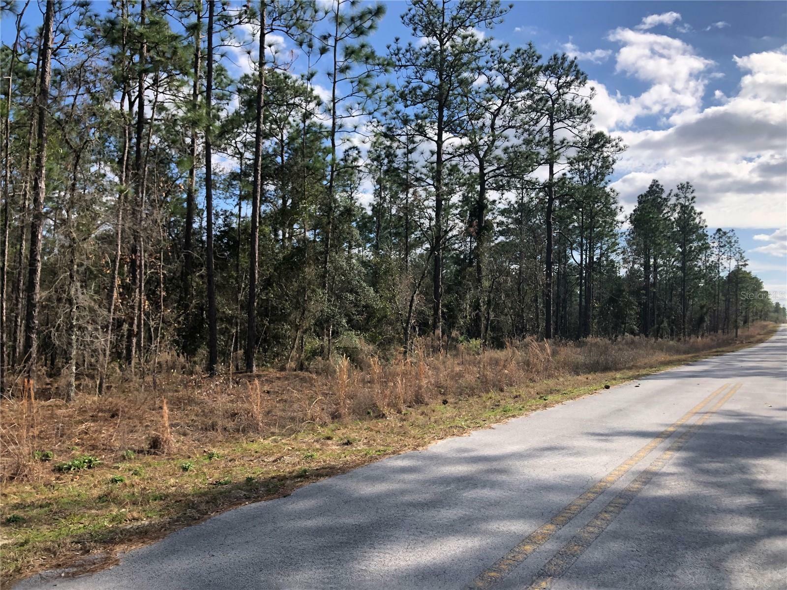 Property Photo:  Lot 57 Alvarez Road  FL 34431 